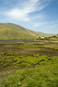 Green fields of Ireland. Ireland 1 199x300 A Friendship Wish for St. Patricks Day