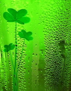 Irish green champagne with shamrocks. green champagne 236x300 A Friendship Wish for St. Patricks Day