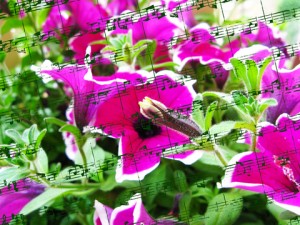 Pink flowers and musical notes illustration 46flowernotes 300x225 The Lovely Month of May for Camelot and Auntie Flora